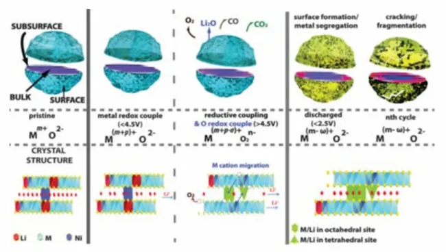 Phase transition and particle bloom